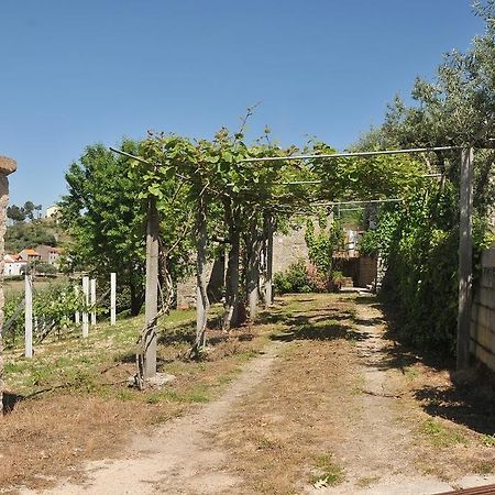 Quinta Do Vale Sanguinho Villa Seia Eksteriør billede