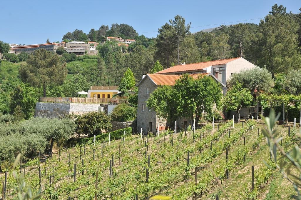 Quinta Do Vale Sanguinho Villa Seia Eksteriør billede