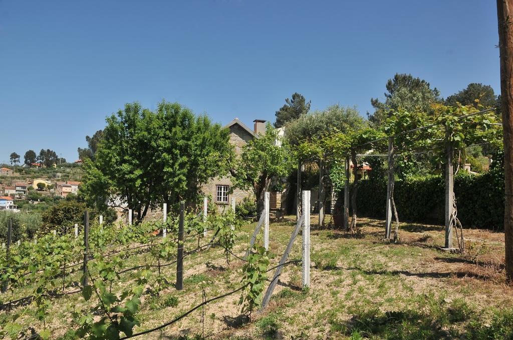 Quinta Do Vale Sanguinho Villa Seia Eksteriør billede